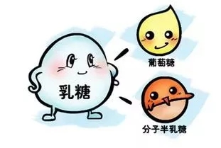 90%以上的人都有“乳糖不耐症”，寶媽春季實力之選