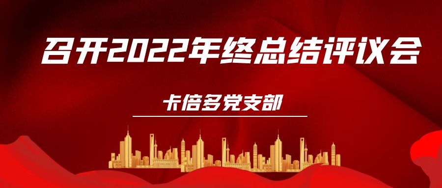 色虎在线观看黨支部召開2022年終總結評議會
